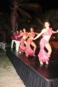 Filename=IMG_3378.jpg
Filesize=95KiB
Dimensions=683x1024
Date added=Jul 24, 2014 IMG_3378.jpg
