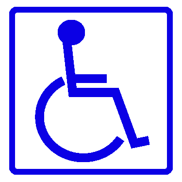 Handicap