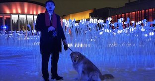 Promotional Videos