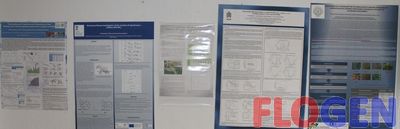 IMG_1671~0.JPG