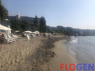 IMG_2259.jpg