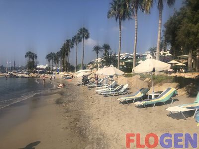 IMG_2260.jpg