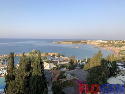 IMG_2332.jpg