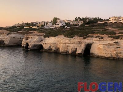 IMG_2778.jpg