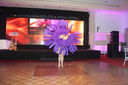 Filename=IMG_2941.JPG
Filesize=402KiB
Dimensions=2048x1365
Date added=Nov 01, 2019 IMG_2941.JPG