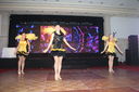 Filename=IMG_2950.JPG
Filesize=409KiB
Dimensions=2048x1365
Date added=Nov 01, 2019 IMG_2950.JPG
