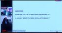 Filename=2022-12-30_2815529.jpg
Filesize=142KiB
Dimensions=2048x1081
Date added=Dec 30, 2022 2022-12-30_2815529.jpg