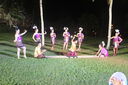 Filename=IMG_3469.JPG
Filesize=598KiB
Dimensions=2048x1365
Date added=Dec 09, 2022 IMG_3469.JPG