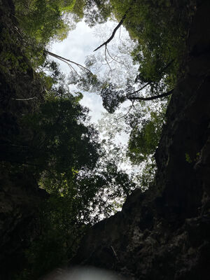 IMG_8144_conv.jpeg
