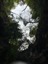 IMG_8144_conv.jpeg