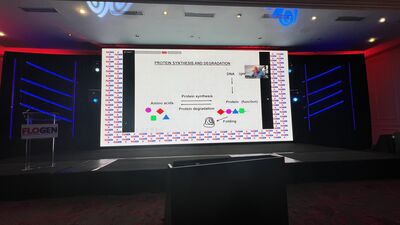 IMG_8240.jpg