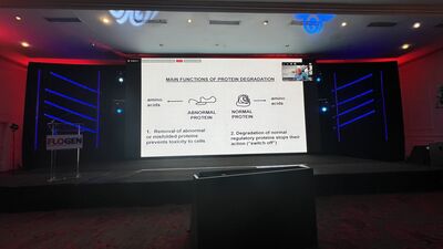 IMG_8242.jpg