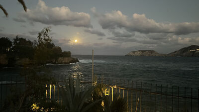 IMG_6461.jpg