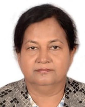Krishna Pramanik